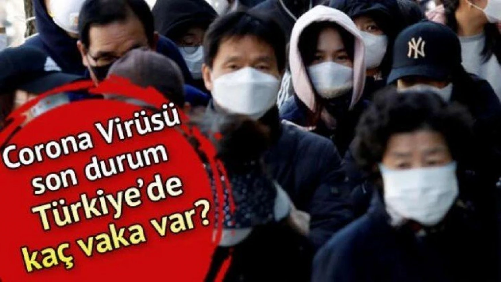 Türkiye Güncel İl İl Koronavirüs Vaka Sayısı