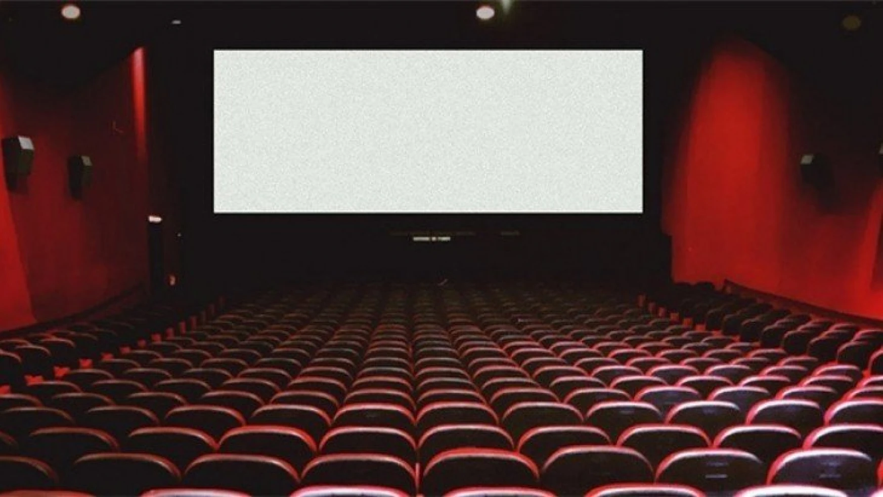Ülkemizde sinema salonlarının sayısı yüzde 4,5 azaldı.