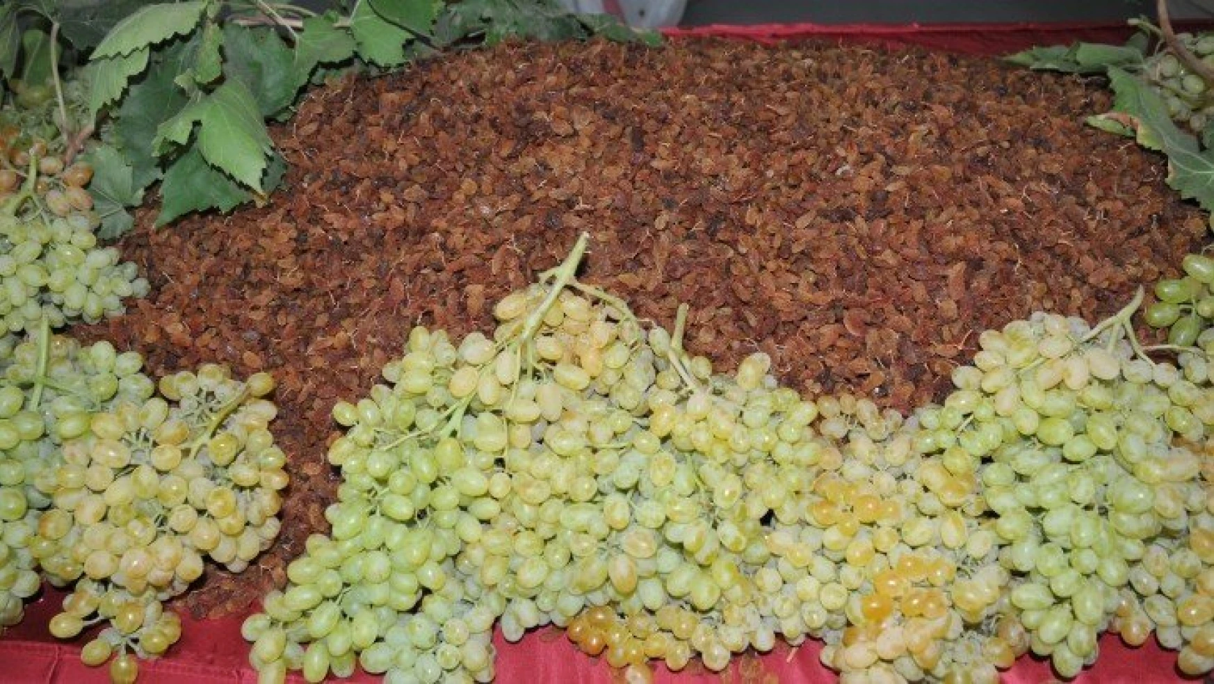 Üretici ve ihracatçı el ele Türk üzümünü zirveye taşıdı