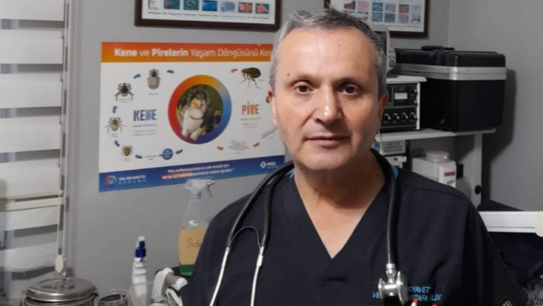 Veteriner Hekim Mustafa Yıldız: 'Kedi ve köpek tüyleri doğrudan hastalık yapmaz'
