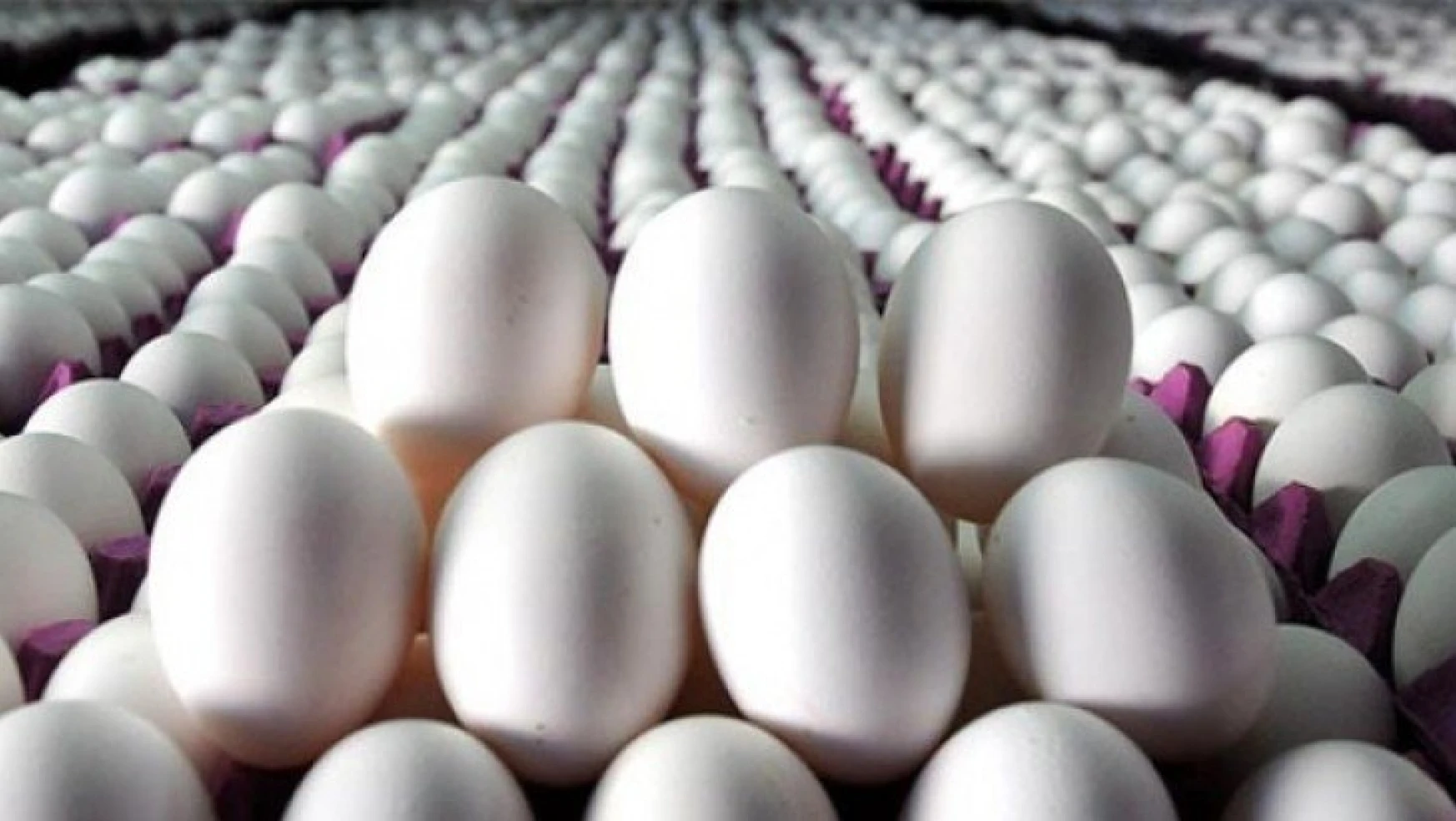 Yumurtada yeni pazarlar bulunmalı…