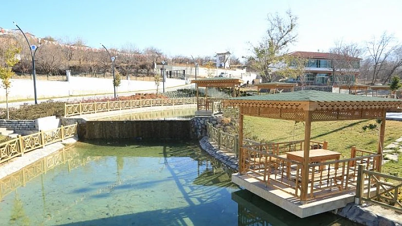 Battalgazi Çınar
